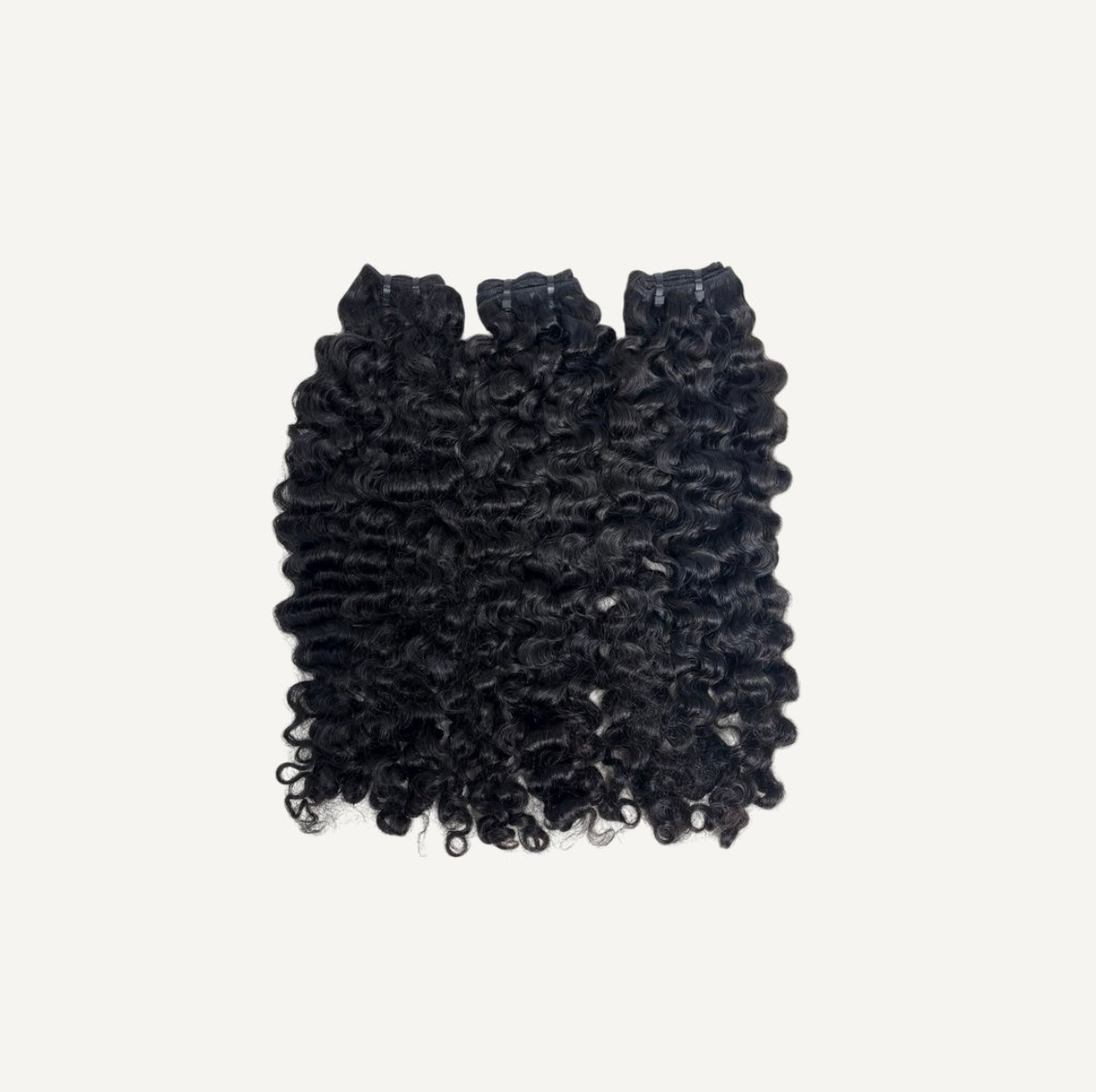 Burmese Curly RAW