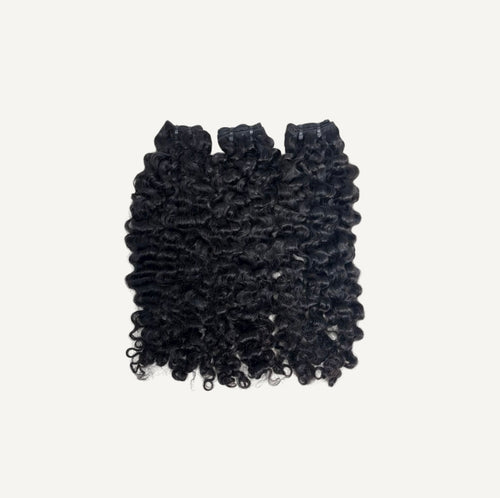 Burmese Curly RAW